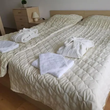 фамилно студио Alex&marry аспен Apartment