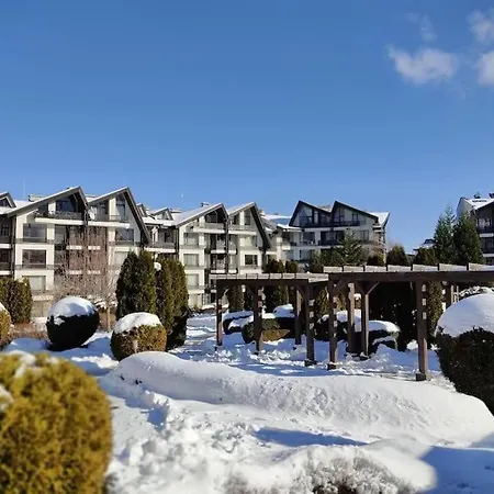 фамилно студио Alex&marry аспен