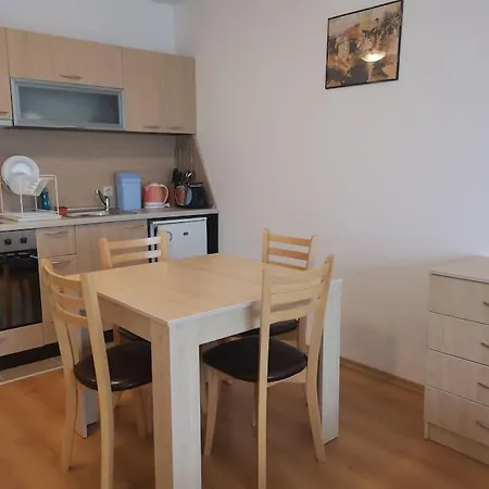 фамилно студио Alex&marry аспен * Банско