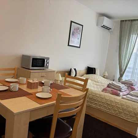 фамилно студио Alex&marry аспен Apartment