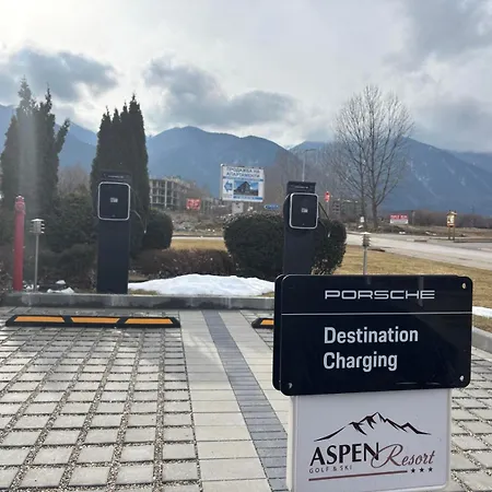 фамилно студио Alex&marry аспен *