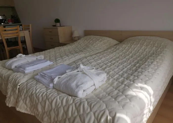 фамилно студио Alex&marry аспен * Bansko