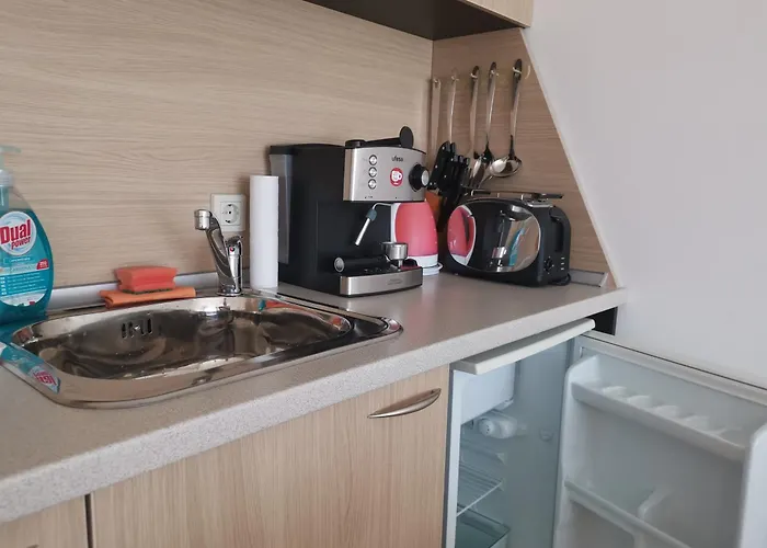 фамилно студио Alex&marry аспен * Bansko