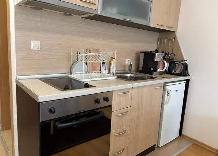 фамилно студио Alex&marry аспен Appartement *